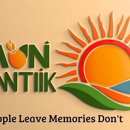The Daun Puntik Homestay Pemenang Dış mekan fotoğraf