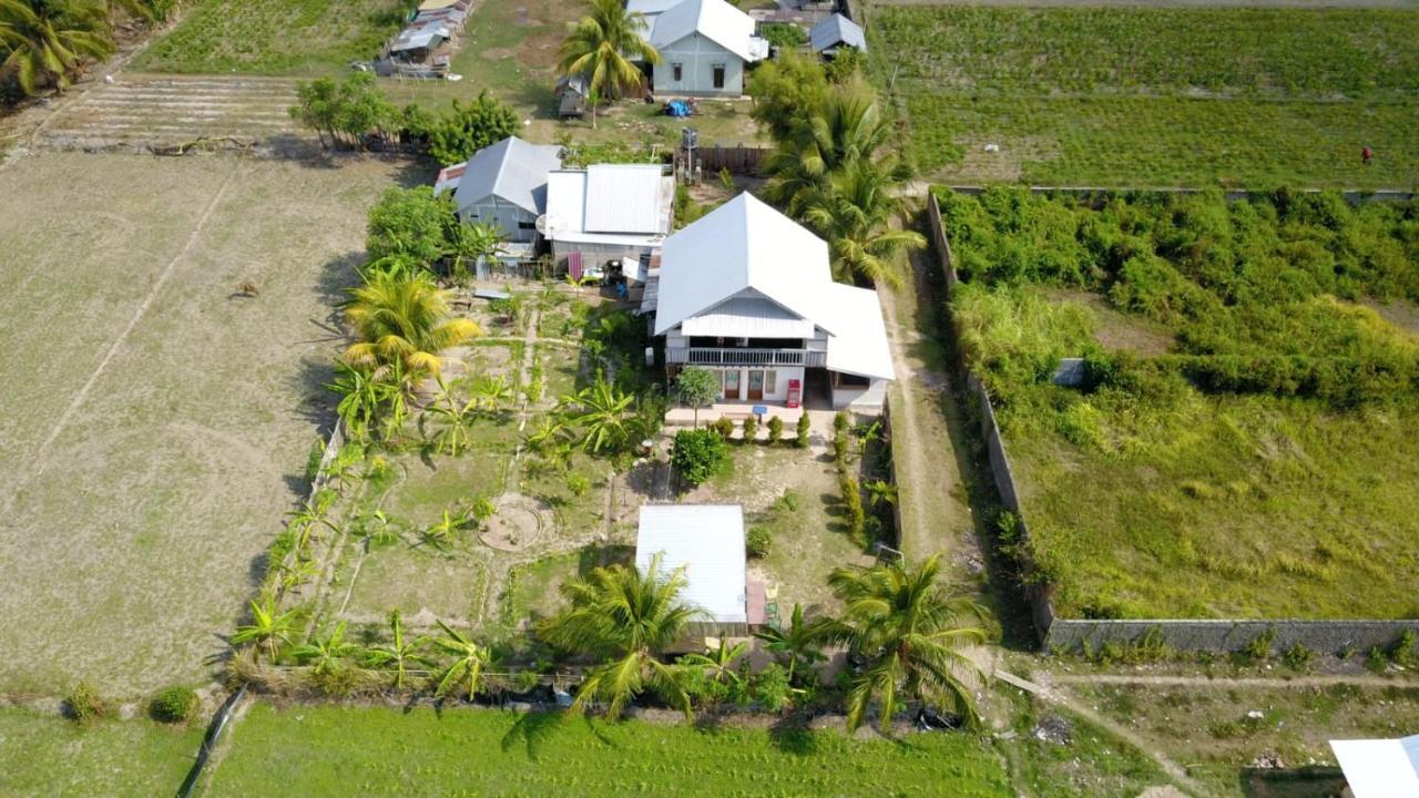 The Daun Puntik Homestay Pemenang Dış mekan fotoğraf