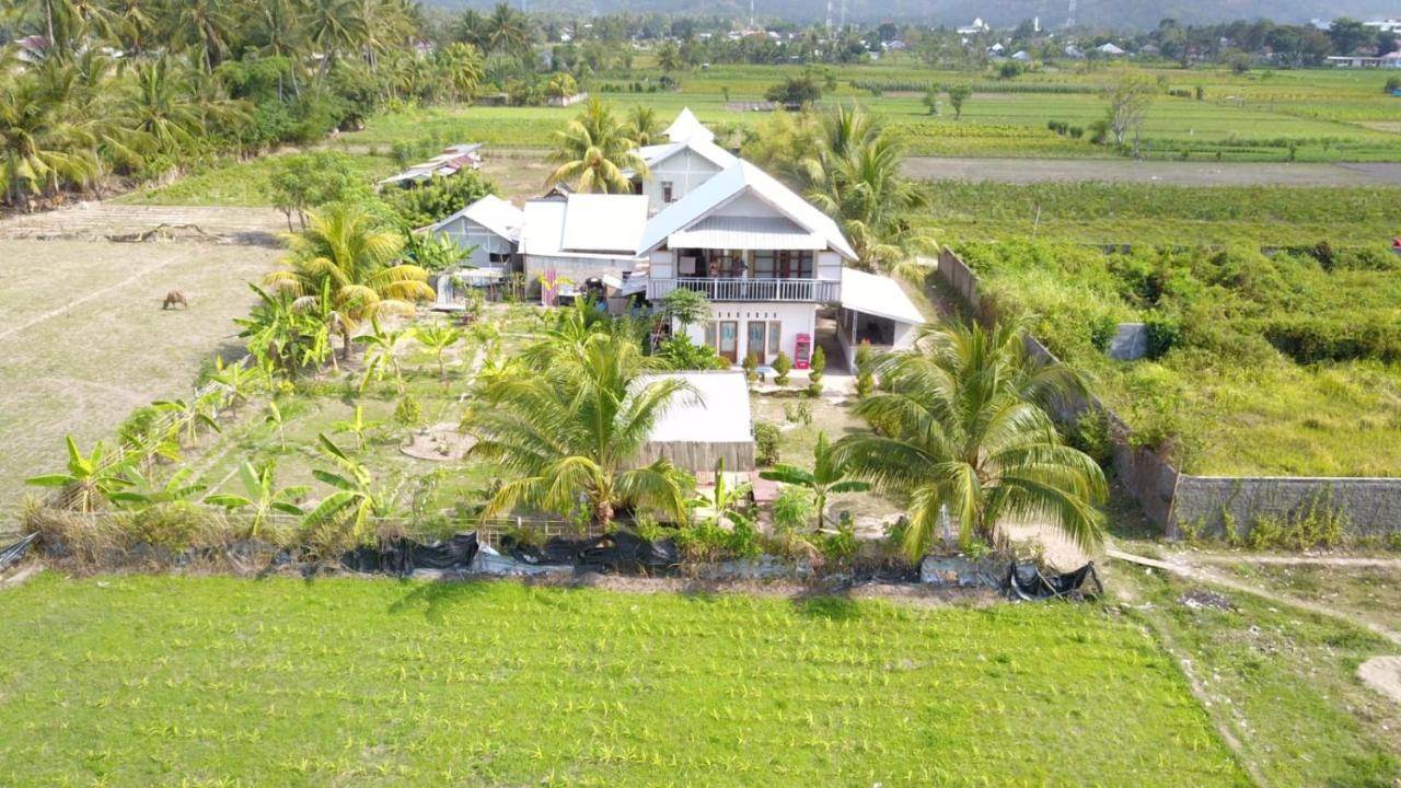 The Daun Puntik Homestay Pemenang Dış mekan fotoğraf