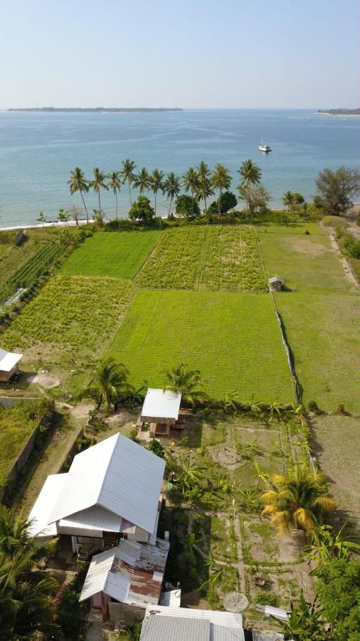 The Daun Puntik Homestay Pemenang Dış mekan fotoğraf