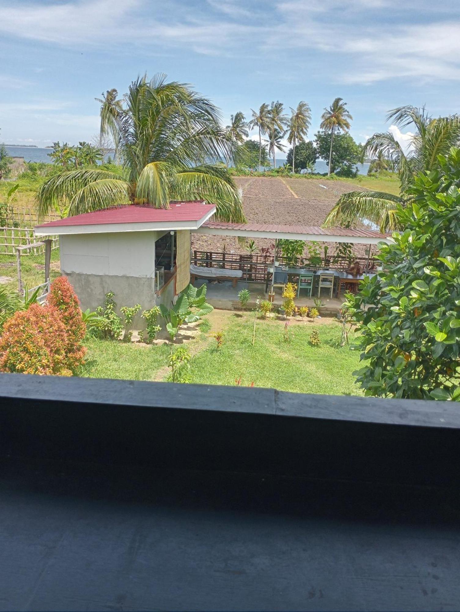 The Daun Puntik Homestay Pemenang Dış mekan fotoğraf