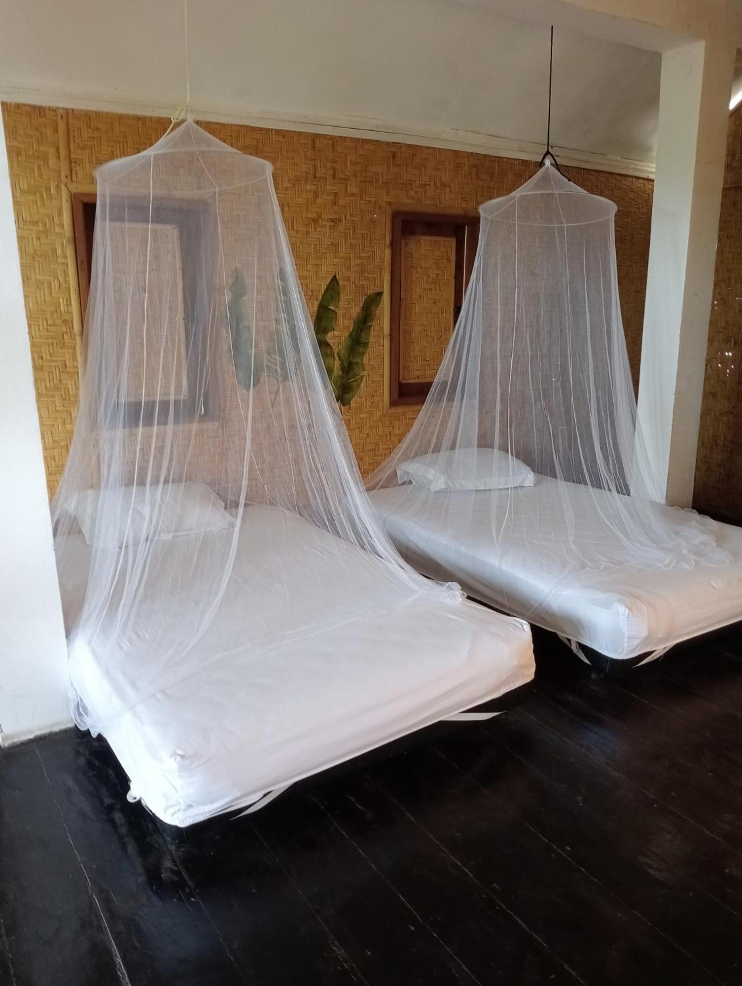 The Daun Puntik Homestay Pemenang Dış mekan fotoğraf